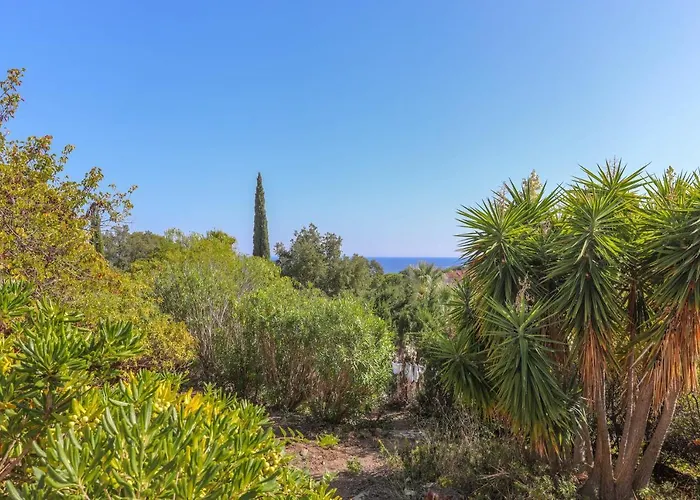 Rez De Avec Jardin Vue